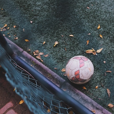 أهداف ليفربول وبرايتون اليوم  مشاهدة أبرز اللحظات على يوتيوب